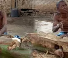 Banyak Pasien Gangguan Jiwa di Inhil Dipasung    