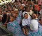 Naiki Ferry, 174 CJH Rohil Berangkat ke Batam Via Pelabuhan Dumai