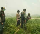 10 Hektare Lahan Perkebunan Terbakar