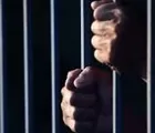 Lantaran Menipu, Pejabat Dishub Riau Dijebloskan ke Penjara