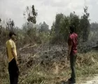 Warga di Riau Temukan Tengkorak di Dalam Guci Saat Bersihkan Lahan