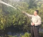 Karlahut Lagi, 10 Hektare Lahan Sawit Terbakar di Inhu