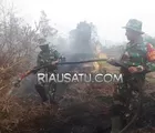 Kebakaran Lahan jalan Beringin Ujung Sungai Sibam Sekitar 6 Hektare