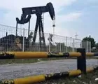 Harga Minyak Anjlok Lagi, Ini Penyebabnya
