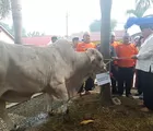 Polda Riau Potong 24 Hewan Kurban