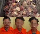 Tertangkap Tangan, Tiga Pria ini Dibawa ke kantor Polisi