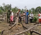 Babinsa Koramil 02/Rambah Bantu Petani Tanam Kedele