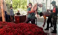 Harga Cabai Merosot, Petani di Bantul Lakukan Cara Ini yang Terbukti Ampuh Naikkan Omset