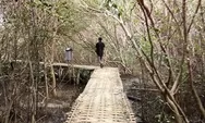 Proses Penanaman serta Pengelolaan Mangrove Dikawasan Pantai Karangsong Subang, Jawa Barat