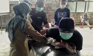 Kasus Rabies Meningkat, Kenali Gejala Khas Berupa Takut Air dan Udara yang Bisa Berujung Meninggal Dunia