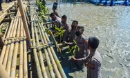 Melalui Program Mageri Segoro, Polda Jateng Raih Rekor MURI Tanam 1 Juta Mangrove