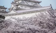 Wajib Dikunjungi! Himeji Castle Destinasi Wisata Sejarah dan Budaya di Jepang