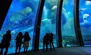 Yokohama Hakkeijima Sea Paradise Taman Hiburan bertema Dunia Bawah Laut yang sangat Populer di Jepang