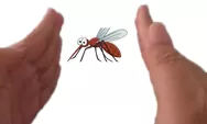 Teknik Menepuk Nyamuk Ala Wirawan Hartawan Dijamin Ampuh