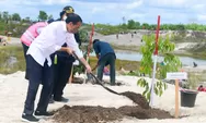 Rehabilitasi Kerusakan Hutan, Jokowi Tanam Pohon di Area Bekas Tambang