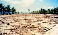 29 Tahun Lalu Gempa di Flores Membangkitkan Tsunami, 2500-an Meninggal