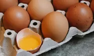 Kenaikan Harga Telur, Ini Ternyata Alasan Harganya terus Meroket