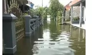 Sungai Meluap, Banjir Rendam Rumah Dan Sawah Warga Di Lamongan