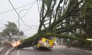 Beredar di WhatsApp Video Mobil Tertimpa Pohon Besar di Indihiang Tasikmalaya, Apakah Ada Korban?
