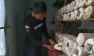 Terus Berinovasi, Lapas Terbuka Kendal Kembangkan Budidaya Jamur Tiram