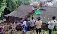 Hujan Deras di Kota Semarang Timbulkan Pohon Tumbang dan Tanah Longsor