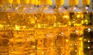 Harga Minyak Goreng Meroket, DPR: Negara Tidak Mampu Mengkapitalisasi Potensi Besar Minyak Sawit