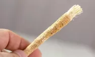 Inilah Hukum Menggunakan Siwak dan Pasta Gigi saat Puasa Ramadhan