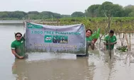  MILO Green ACTIV Diisi Aksi Penanaman 3.000 Pohon di Bedono