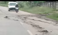 Jalan Nasional di Lebak Kotor dan Berlumpur Akibat Truk Pengangkut Batu Bara, Warga: Tambangnya Juga Ilegal