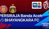 Hasil Pertandingan Persiraja Banda Aceh Vs Bhayangkara FC: Melvin Platje Borong Gol Kemenangan The Guardian
