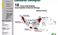 Kemenkes Temukan 18 Orang Dugaan Kasus Hepatitis Akut