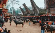 Tradisi Unik Suku Toraja: Senandung Magis Tanah Orang-Orang yang Berdiam di Negeri Atas