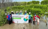 Cegah Intrusi Air Laut di Pesisir Tambakrejo, Pertagas Tanam 1.103 Mangrove