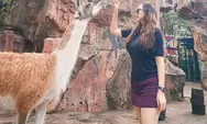 Potret Aura Kasih ke Kebun Binatang Tuai Pujian Netizen : Cantik Banget Sis!