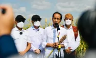 Antisipasi Krisis Pangan Global, Presiden Jokowi Sebut Sorgum Bisa Jadi Alternatif Bahan Pangan