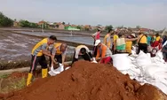 Banjir Rob Landa Pesisir Batang, Petugas Gabungan Bangun Tanggul Sementara 