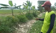 Gegara Ini, Petani Dua Desa Minta Normalisasi Saluran Sekunder BUT Babelan ke Hilir