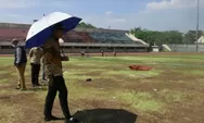 Pemulihan Rumput Stadion Utama Kebondalem Paska PRK Dipercepat