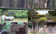 Wajib Dikunjungi!!! Kebun Binatang di Indonesia Yang Sangat Indah dan Unik