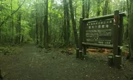 Aokigahara, Tempat Wisata Horor di Jepang yang Cocok Untuk Uji Nyali!