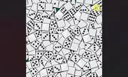 Tes visual: Dapatkah Anda menemukan 4 domino putih dalam 15 detik?