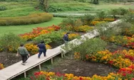 Lagi Hits! Rekomendasi Wisata Taman Seribu Bunga Berastagi Yang Wajib Kamu Kunjungi Di Kabupaten Karo