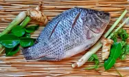 Inilah 5 Manfaat Ikan Mujair yang Bagus Bagi Kesehatan Badan Kamu