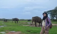 Taman Nasional Way Kambas, Destinasi Wisata di Lampung Tempat Kamu Bisa Berinteraksi Langsung Dengan Gajah!