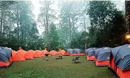 Camping Seru di Mojosemi Forest Park, Sensasional!