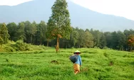 Beberapa Negara Ini Terindah di Dunia, Indonesia Masuk Peringkat Berapa?