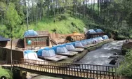 Talaga Pineus Riverside Camping: Sensasi Berkemah di Tepi Sungai yang Ada di dalam Hutan Pinus