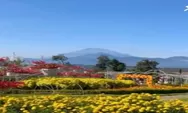 Rekomendasi Destinasi Wisata Terpopuler di Semarang Part 2, Nomor 3 Ada Taman Bunga Celosia!