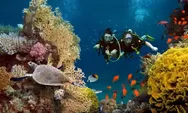 Nikmati Alam Bawah Laut Bali dengan Water Sport Scuba Diving, Amazing Banget!