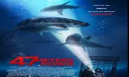 Sinopsis Film 47 Meters Down Tayang 9 September 2022 Bioskop Trans TV Pukul 21.30 WIB Dibintangi Mandy Moore